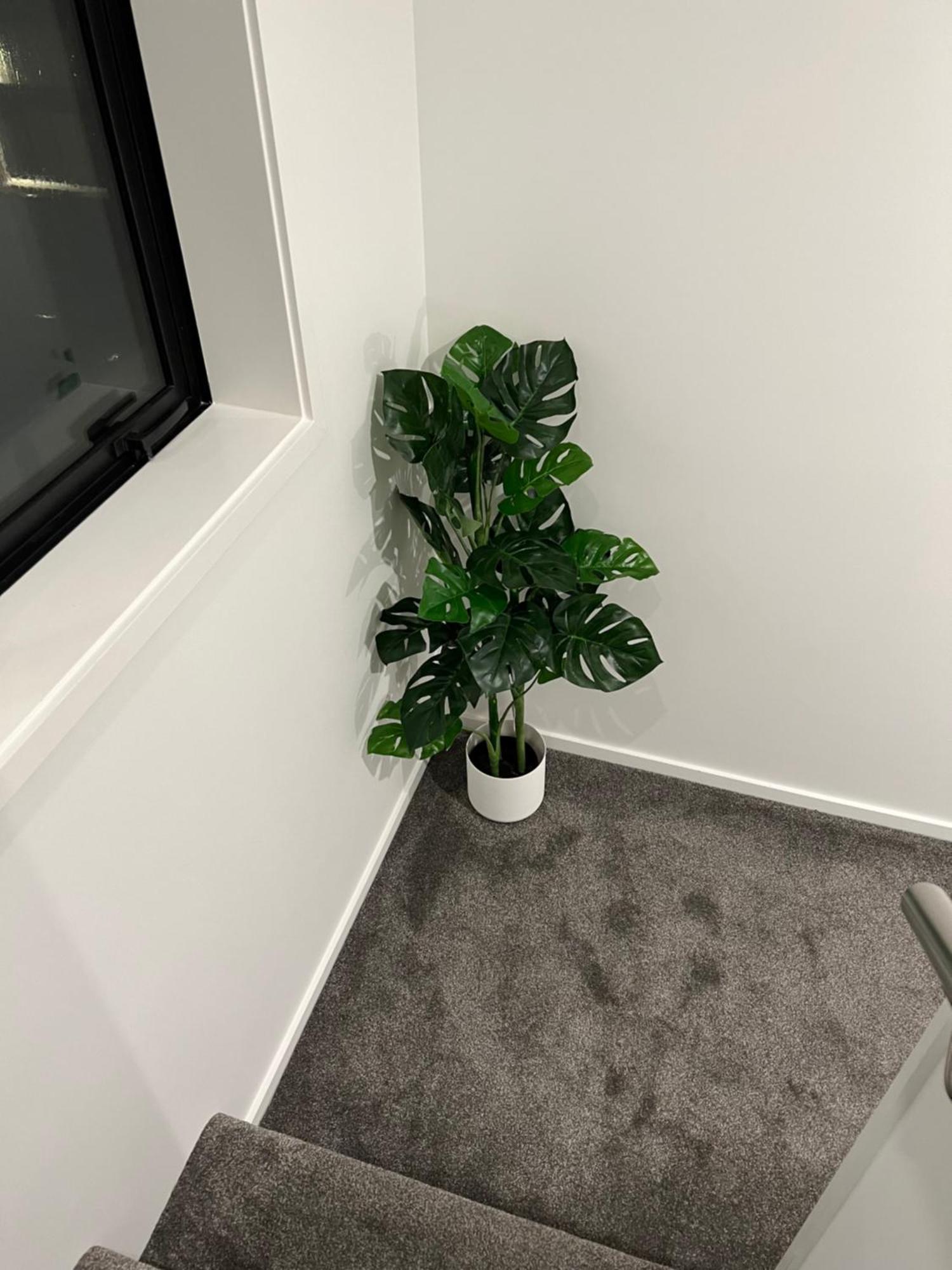 Apartment 3mins To Hospital & Hagley Park Christchurch